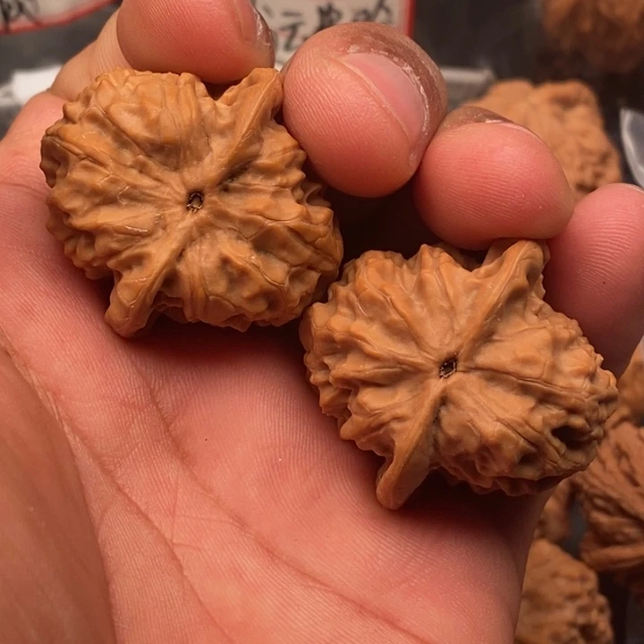 文玩核桃把件野狼37