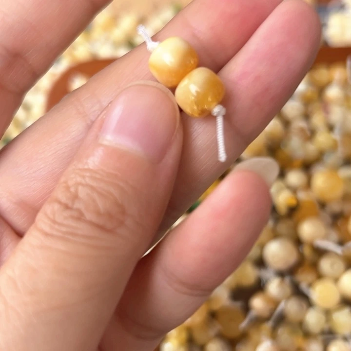 蜜蜡未镶嵌裸石8.1mm一对