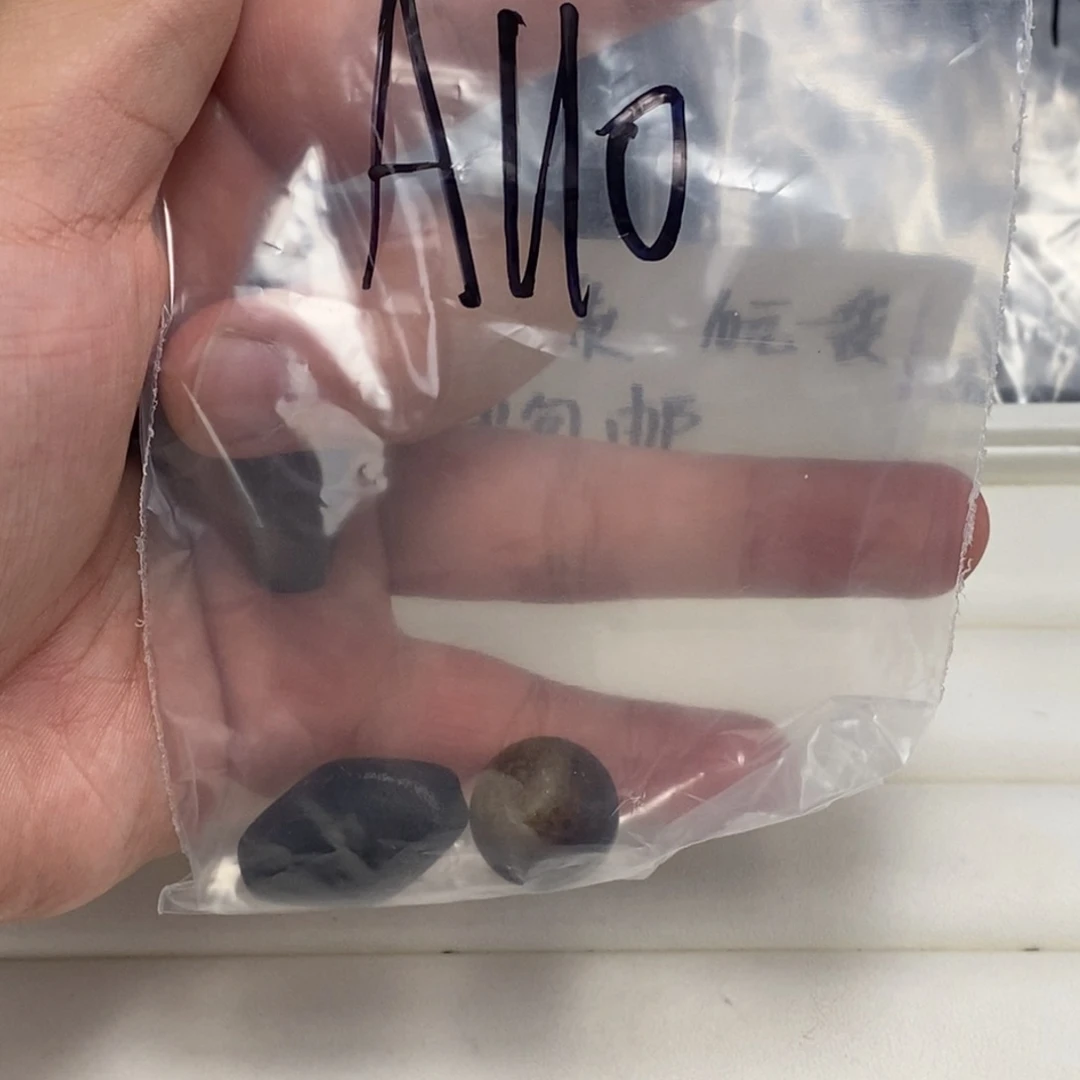 合金颈饰玛瑙/玉髓让****儿