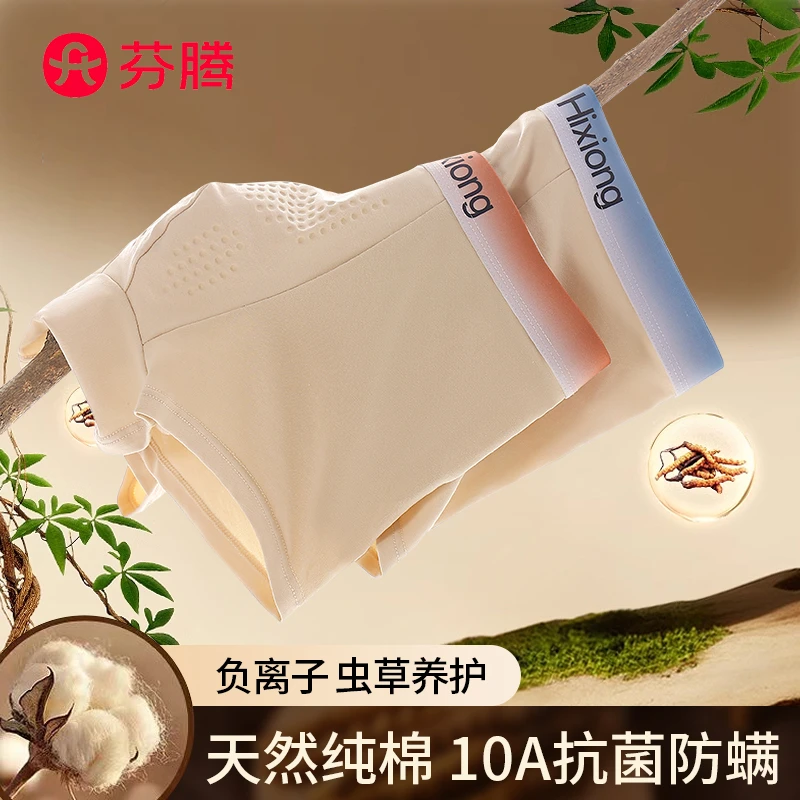 【虫草养护】芬腾 10A抑菌男士内裤0染健康彩棉男平角裤