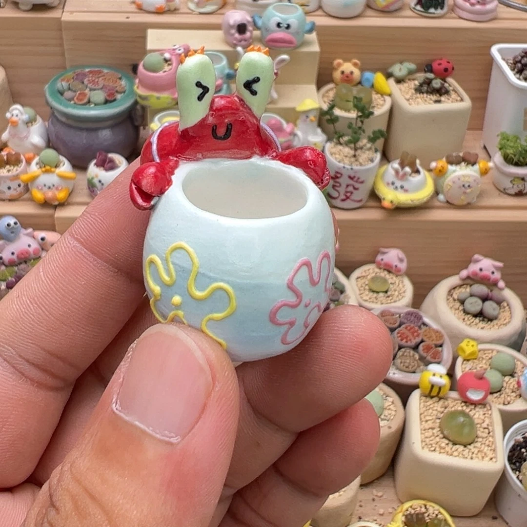 阳***木多肉植物实付9.9元包邮18号