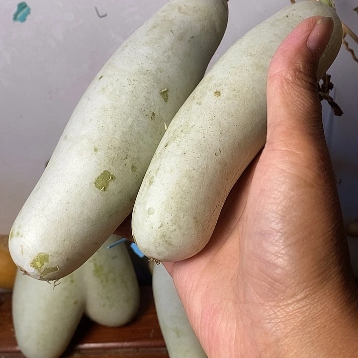 明***哥青皮腰子葫芦手把件摆件