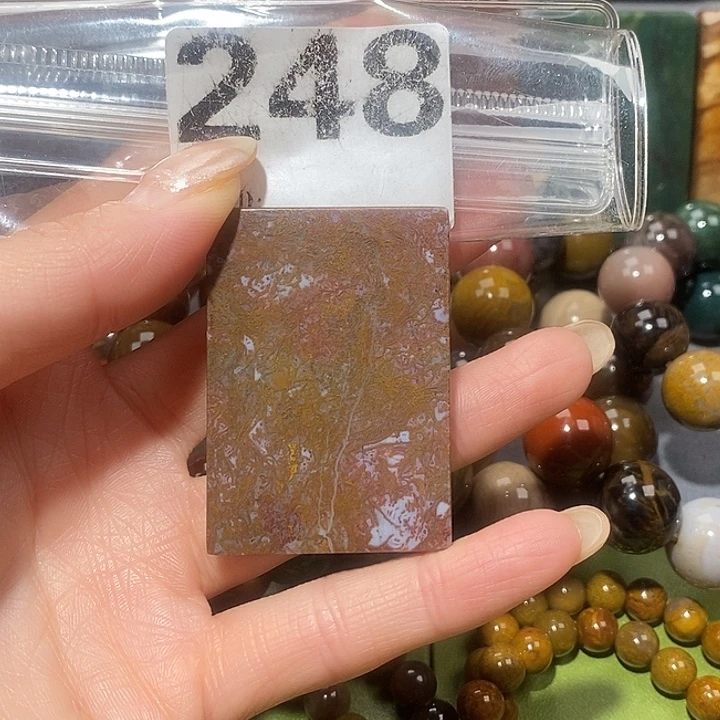 硅化玉未镶嵌天然北票树化玉吊坠