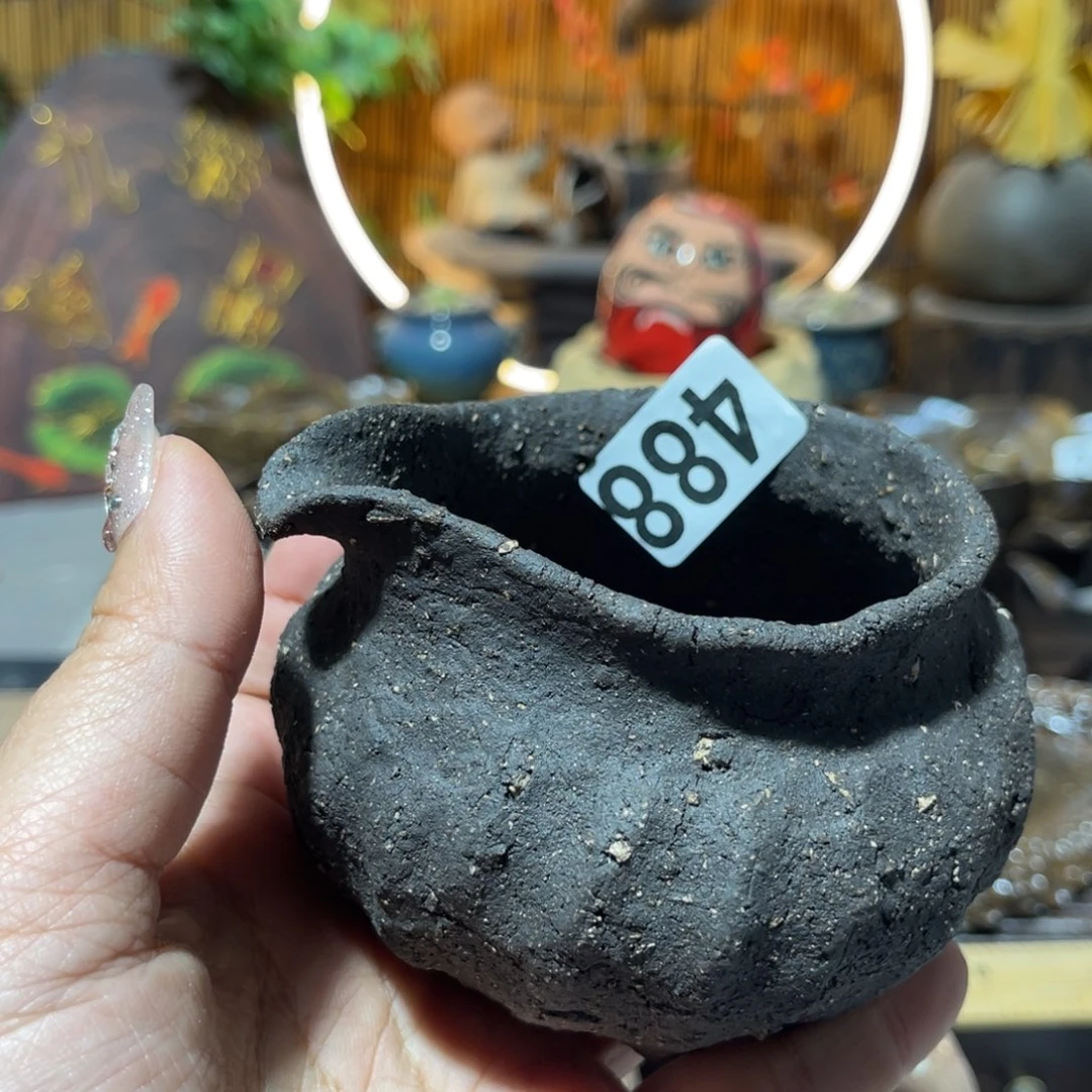 童*木村信弘柴烧保平