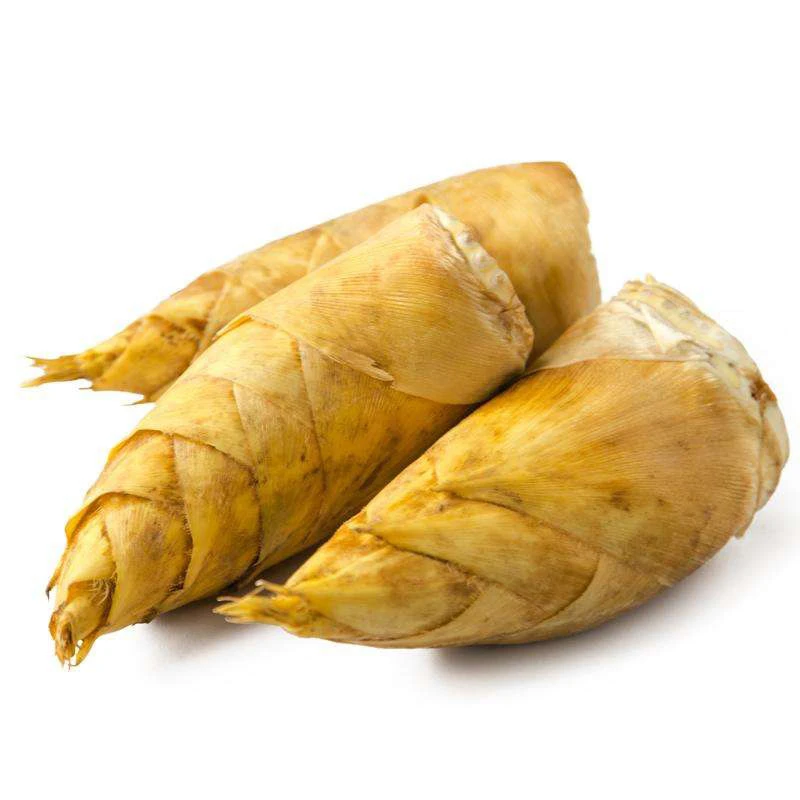 新鲜冬笋春笋高山黄泥笋现挖现发