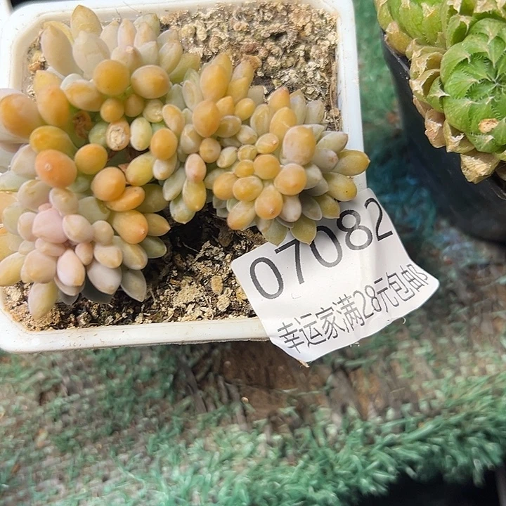 幸运的是我还没遇到过，