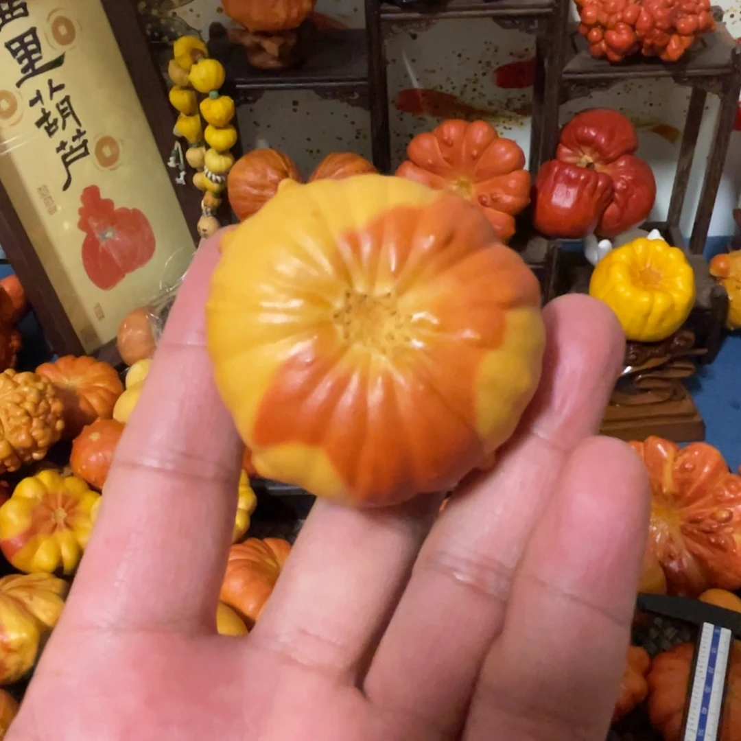 养**羊5366655542236666663