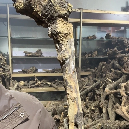 香榧木落**悔火琉璃的故事毛料，播摆件