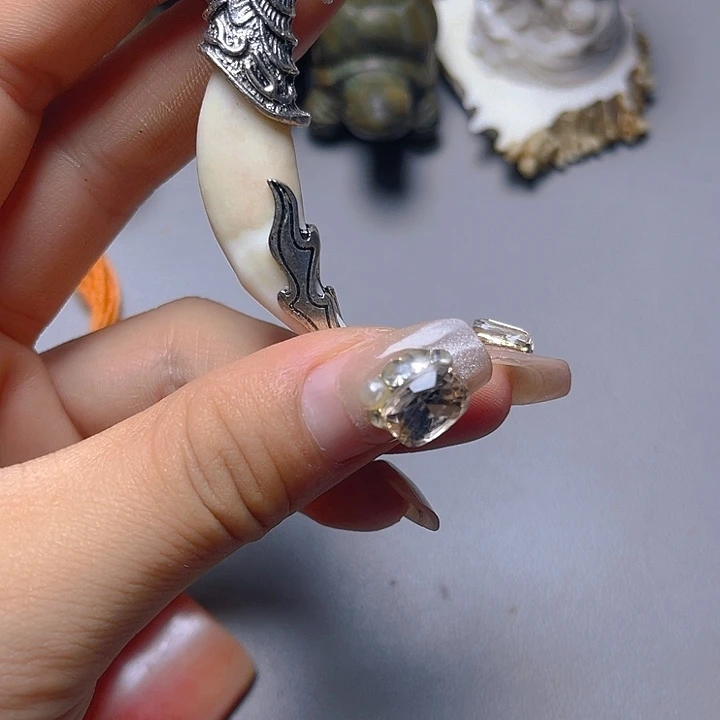 大果紫檀（缅甸花梨）