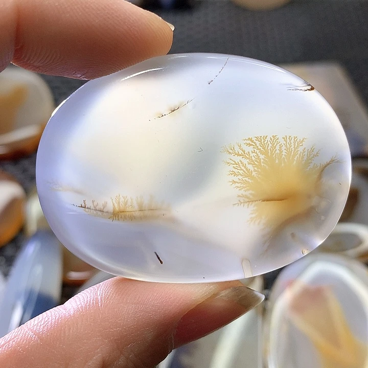 未镶嵌颈饰玛瑙/玉髓