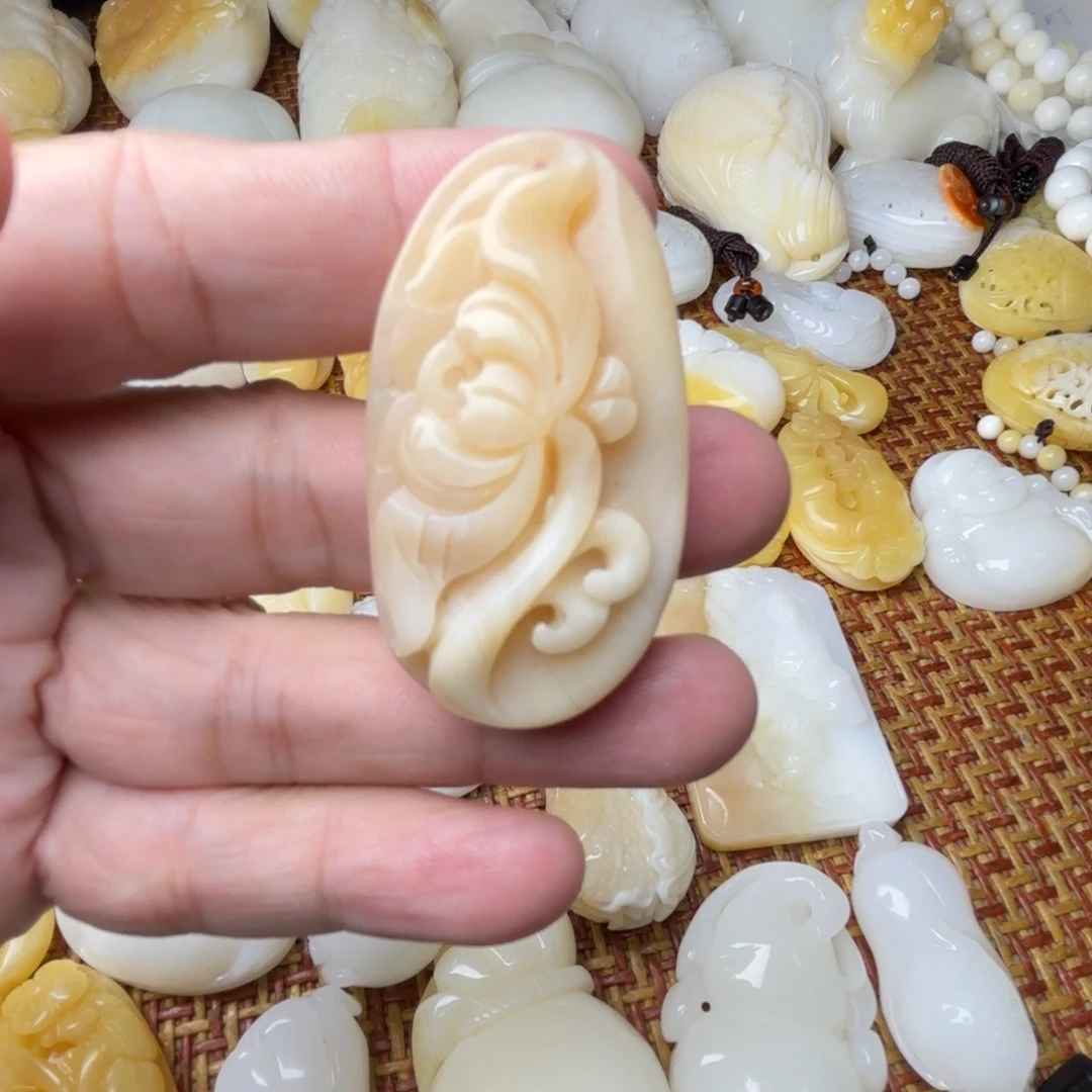 涅***凰非金属贝壳天然贝壳