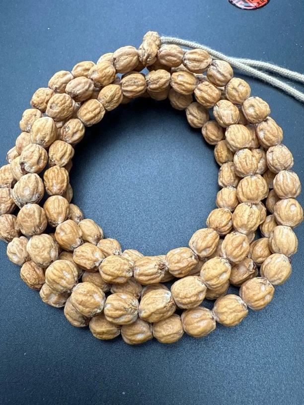 热振一哥《长腿，天眼》定制级百香籽