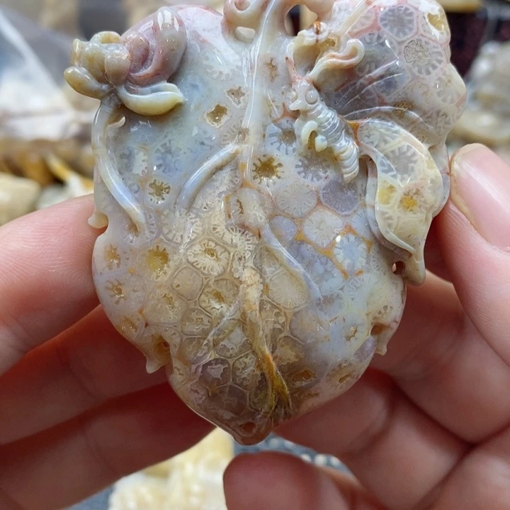 硅化珊瑚（珊瑚玉）颈饰未镶嵌