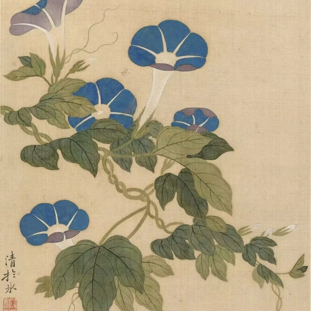 41.安徽泾县宣纸定向链接