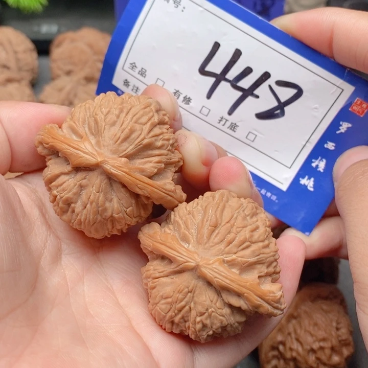 把件桃核41白狮子448号牌