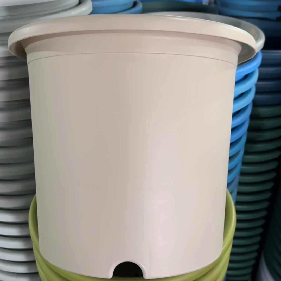 树脂特价6#无拖灰白5个