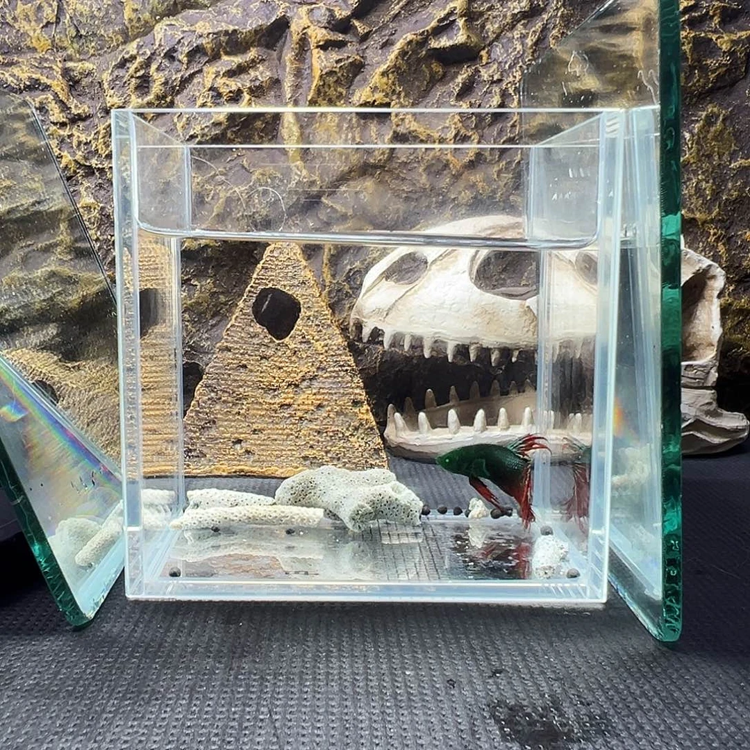 斗鱼精品精品精品精品精品