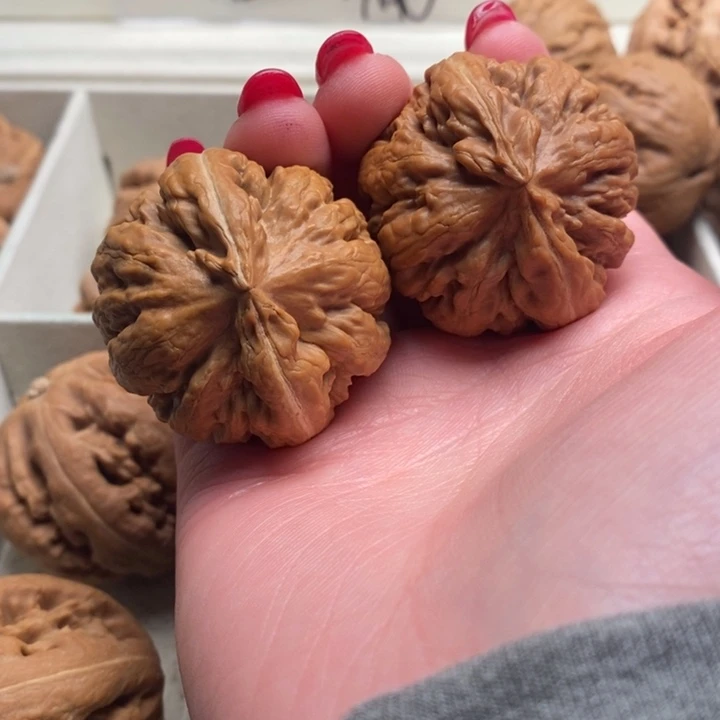 用***8霸王龙全品无修一刀没动