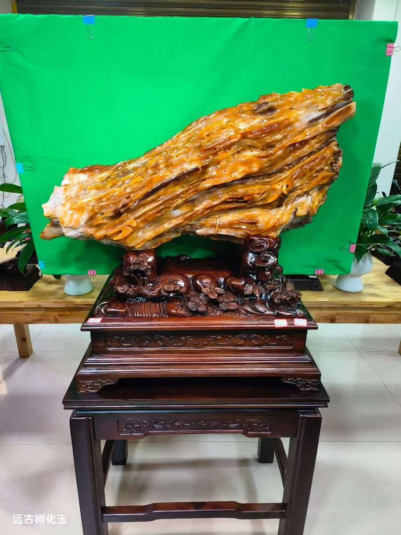 缅甸树化玉远古树化玉大白菜造型摆件百福纳财树化石木化玉奇石