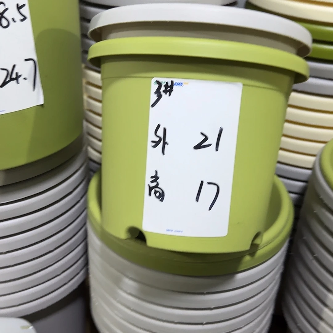 树脂四季3号无托10个果绿