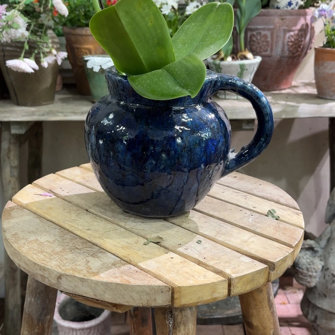 许纯的花房 蓝色单耳罐