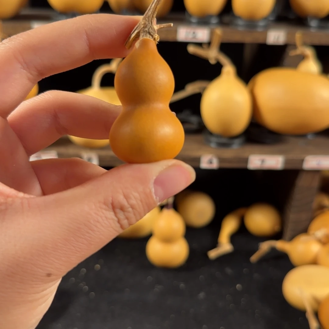 暴*熊葫芦葫芦葫芦葫芦葫芦