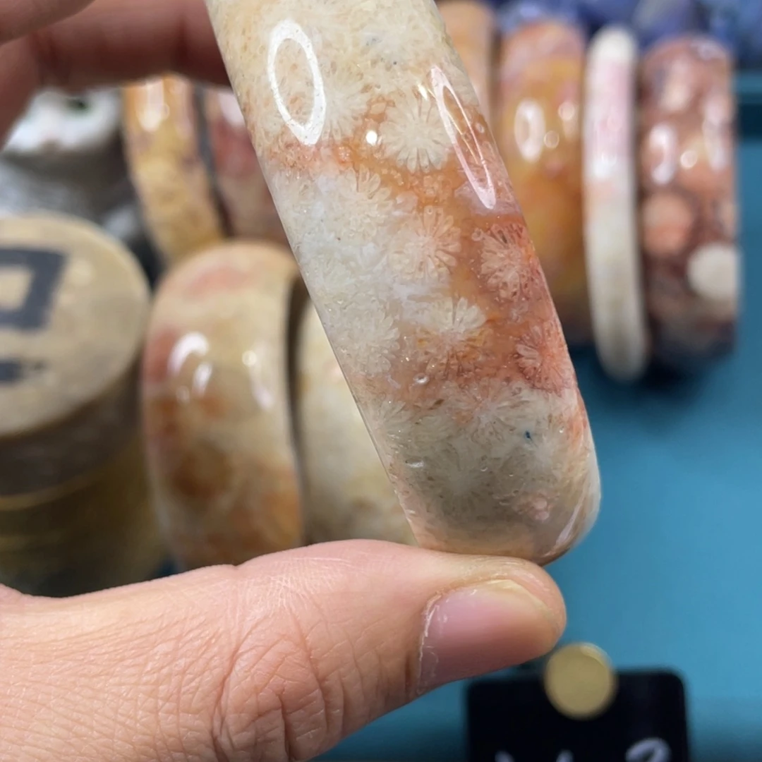 未镶嵌手镯硅化玉