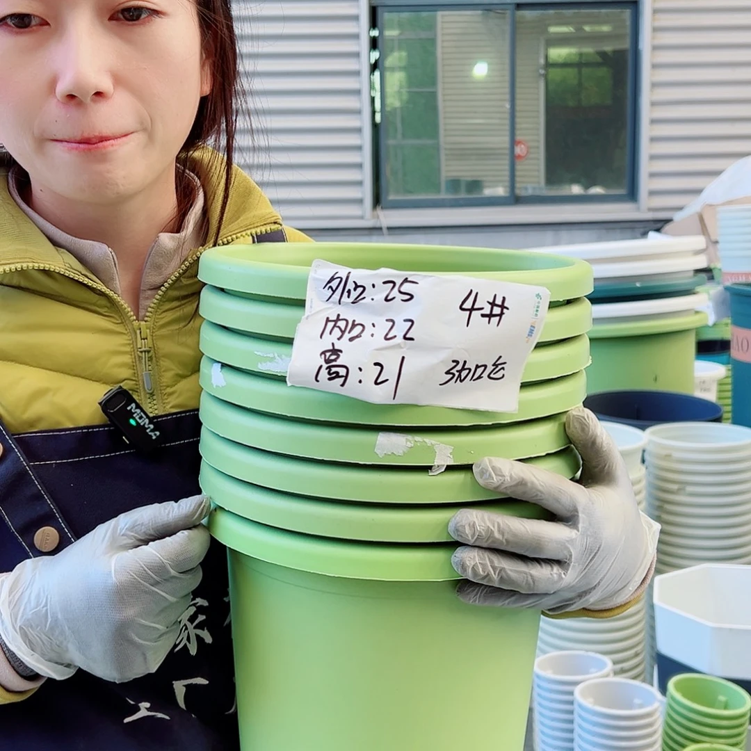四季盆4#果绿8个无托