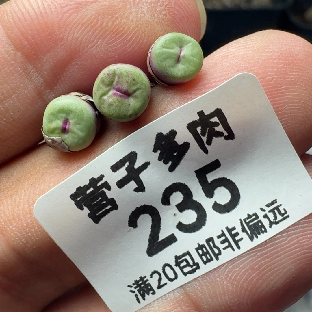 1380b。    3颗脱土。