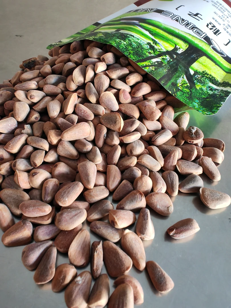 野生松子，生松子，送夹子