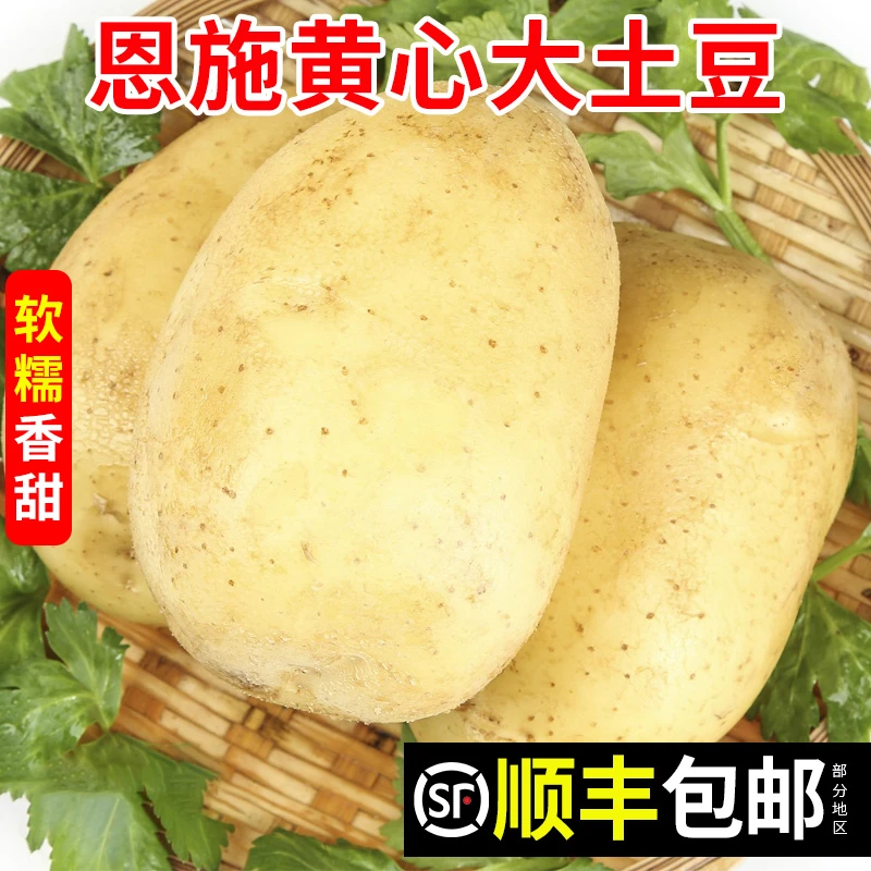 恩施高山大土豆农家种植正宗黄心洋芋新鲜蔬菜蒸煮士豆整箱包邮