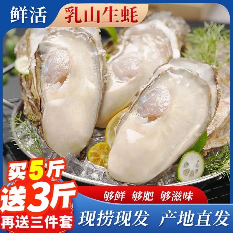 【买5斤送3斤】正宗乳山生蚝原产地新鲜大生蚝烤生蚝精品牡蛎