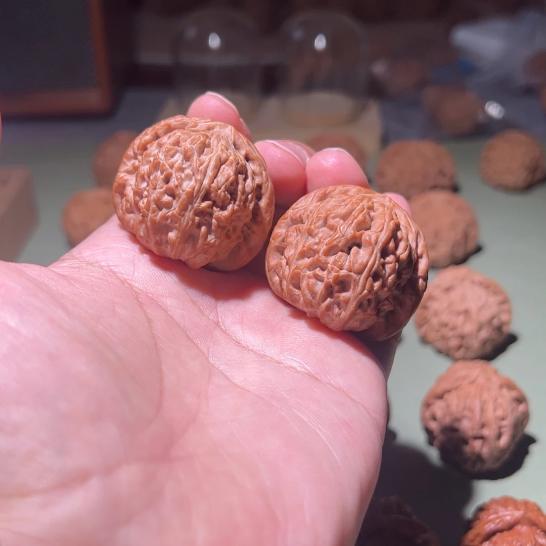 文玩核桃把件38白狮子球白