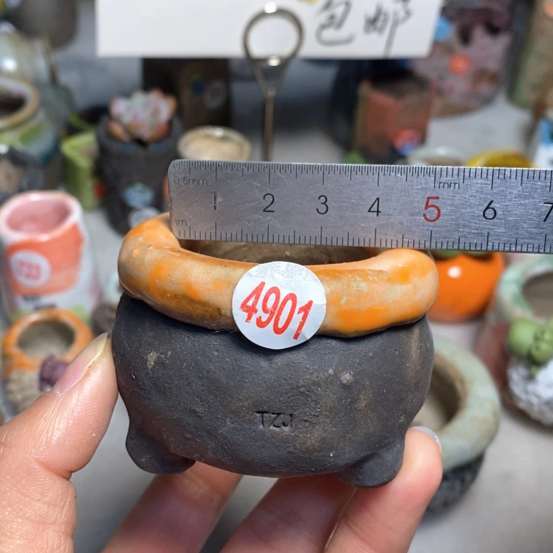 花盆拍3送一个小礼物