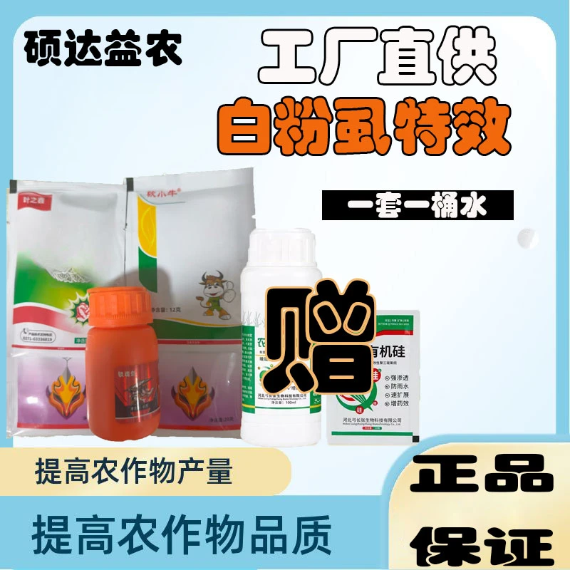 抗性蓟马青虫白粉虱治疗方案