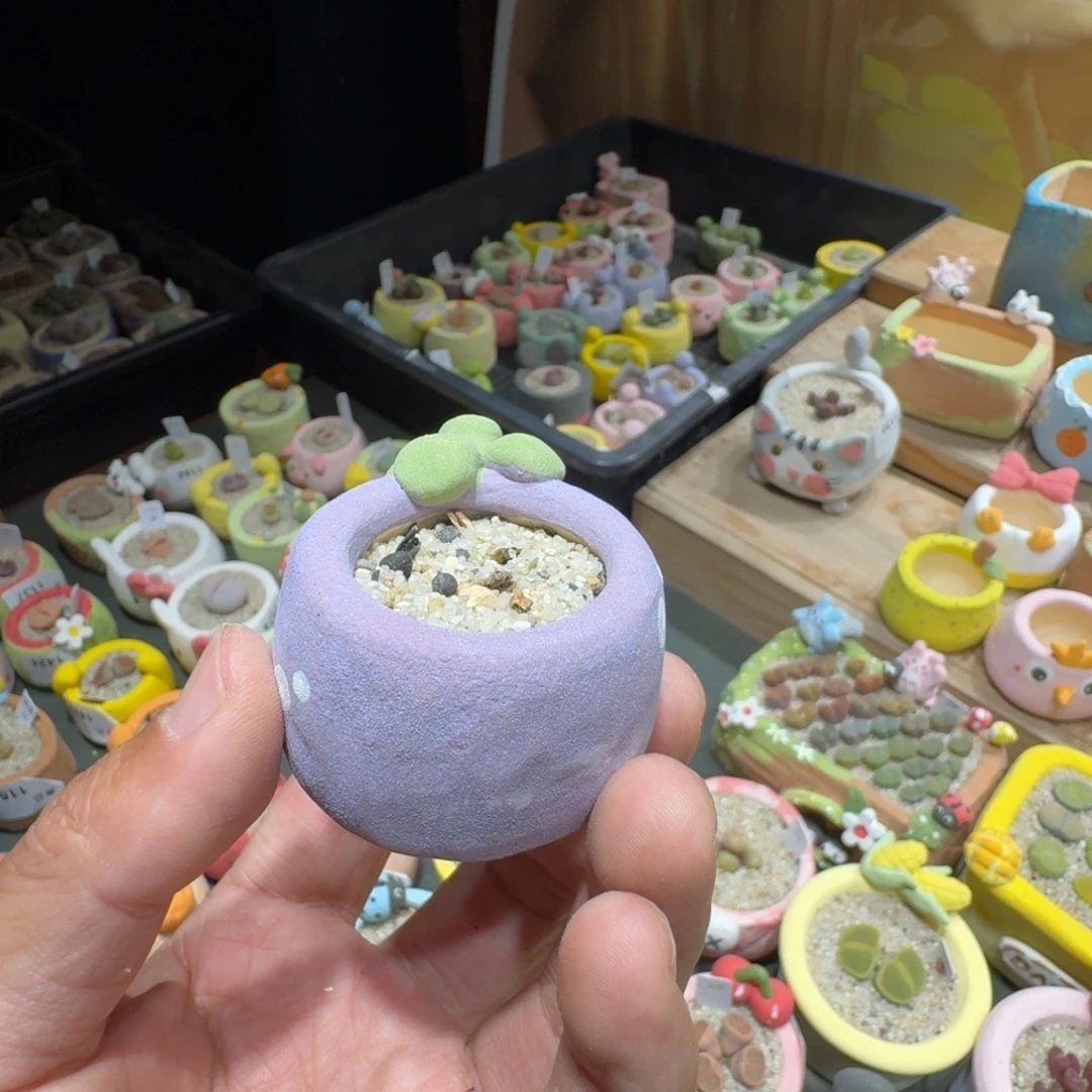 z****蘑菇1181花盆花盆花盆