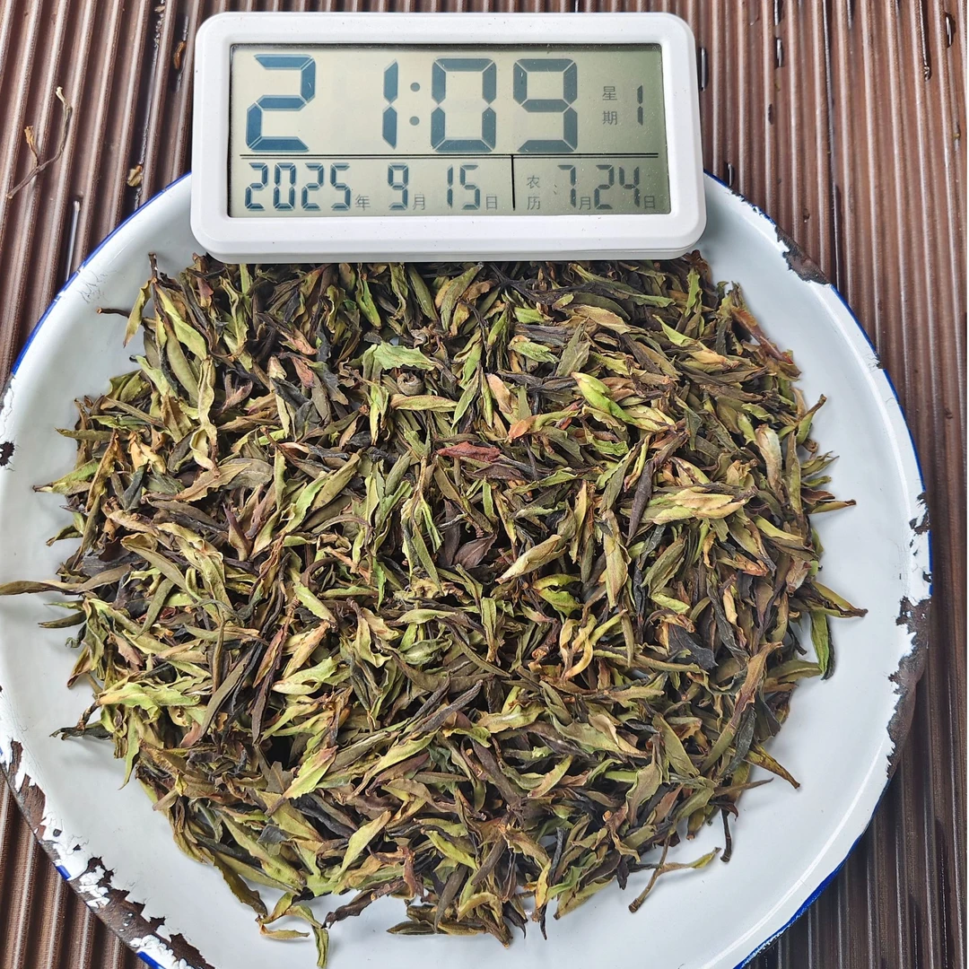 【1235号】2025年 千老妖高杆古树白茶芽孢春 白茶  100克  9月15