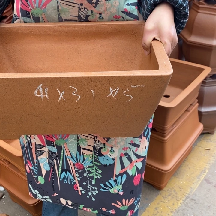 花盆紫砂身体不好