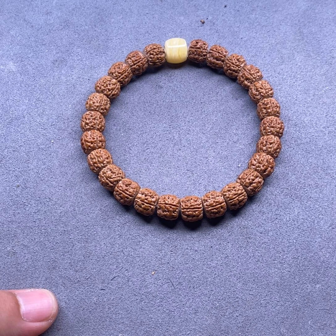 手串金刚菩提龙切盘龙尺寸10.5