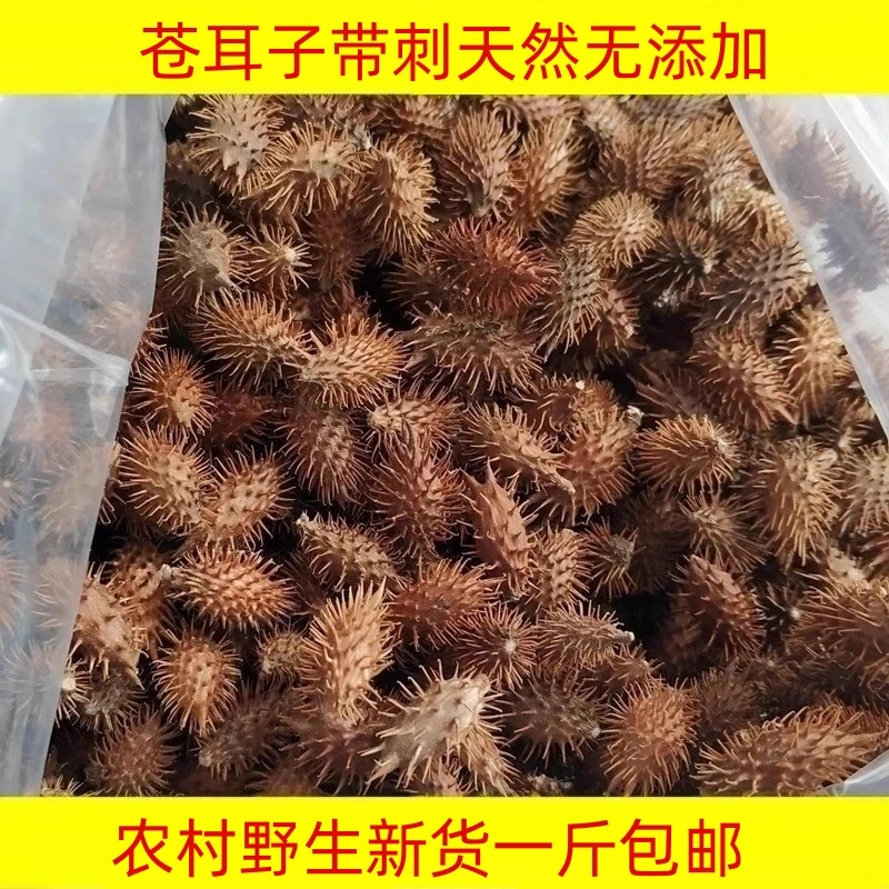 苍耳子正品野生晒干自然成熟生苍耳带刺苍耳子500克包邮非栀子