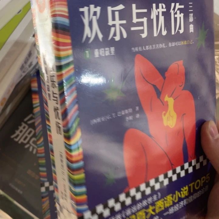 欢乐与忧伤正版书籍