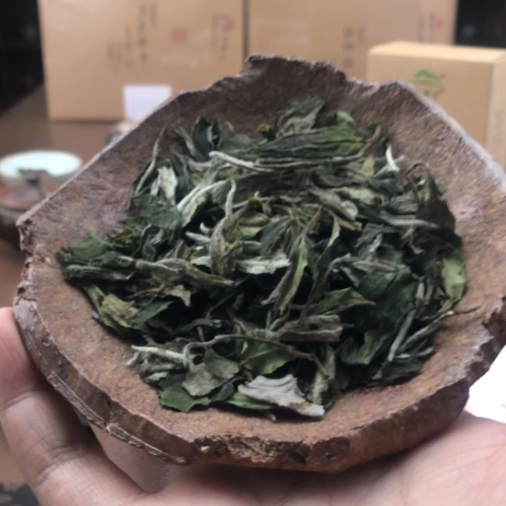 杯新春福利大礼包2款分享