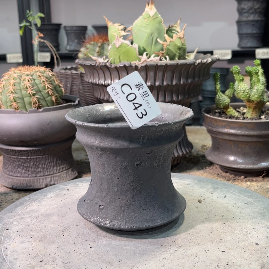 景德镇手工素里内口11.5高10.5