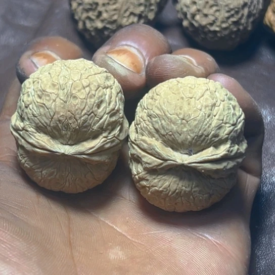 把件文玩核桃卡37.5蟒纹圆球35号