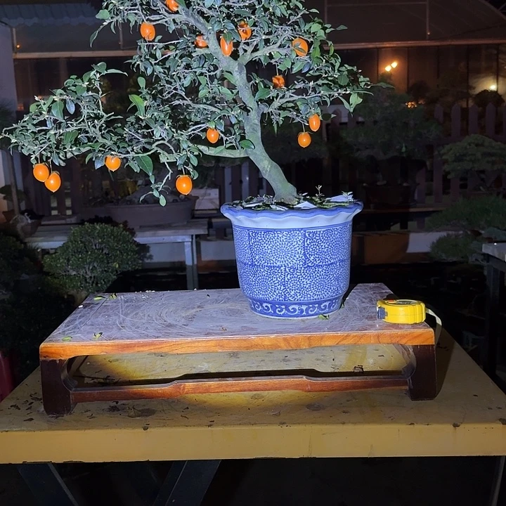 完全开放1200不包邮