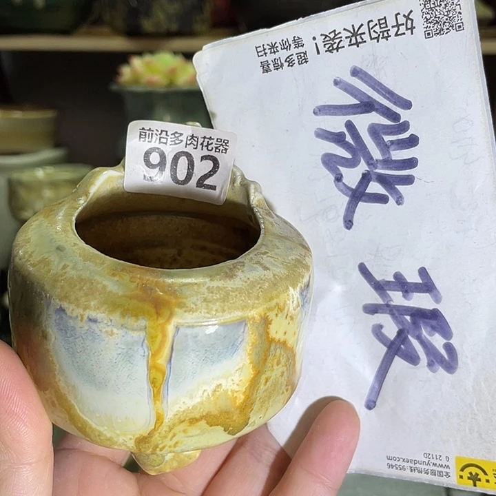 狼盆内口径5高度6