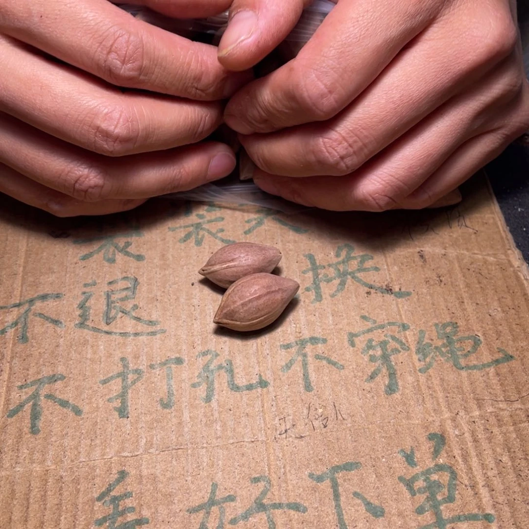 峡***哥橄榄核吊坠不退不换wtyu