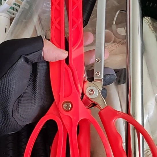 66号两个夹子，，，，