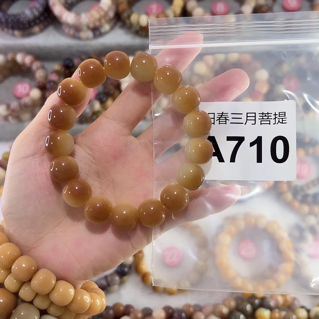 吊坠菩提根/象牙果