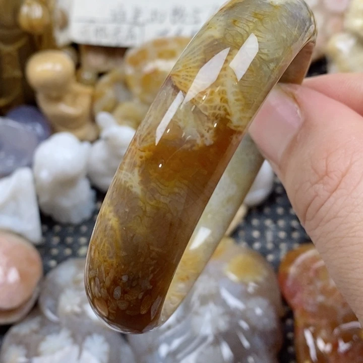 颈饰未镶嵌硅化珊瑚（珊瑚玉）54